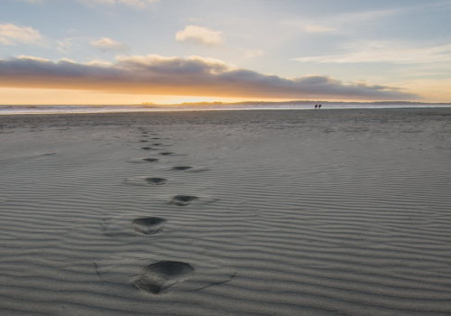Hoe kan wandelen bijdragen aan een gelukkig en gezond leven?