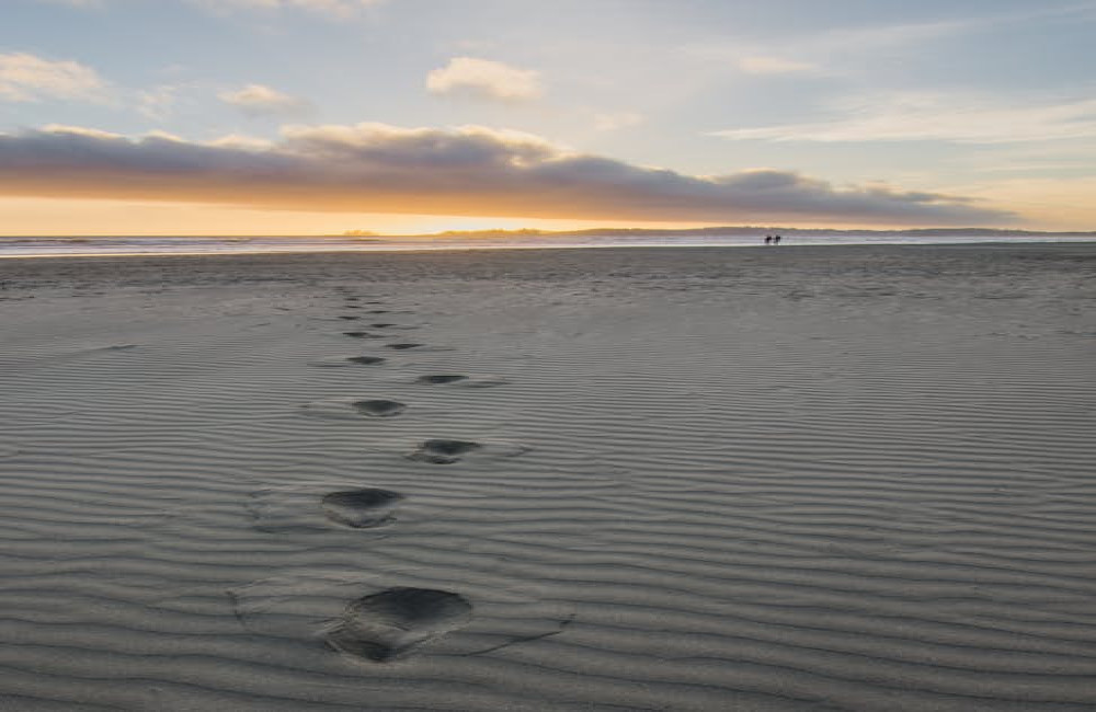 Hoe kan wandelen bijdragen aan een gelukkig en gezond leven?