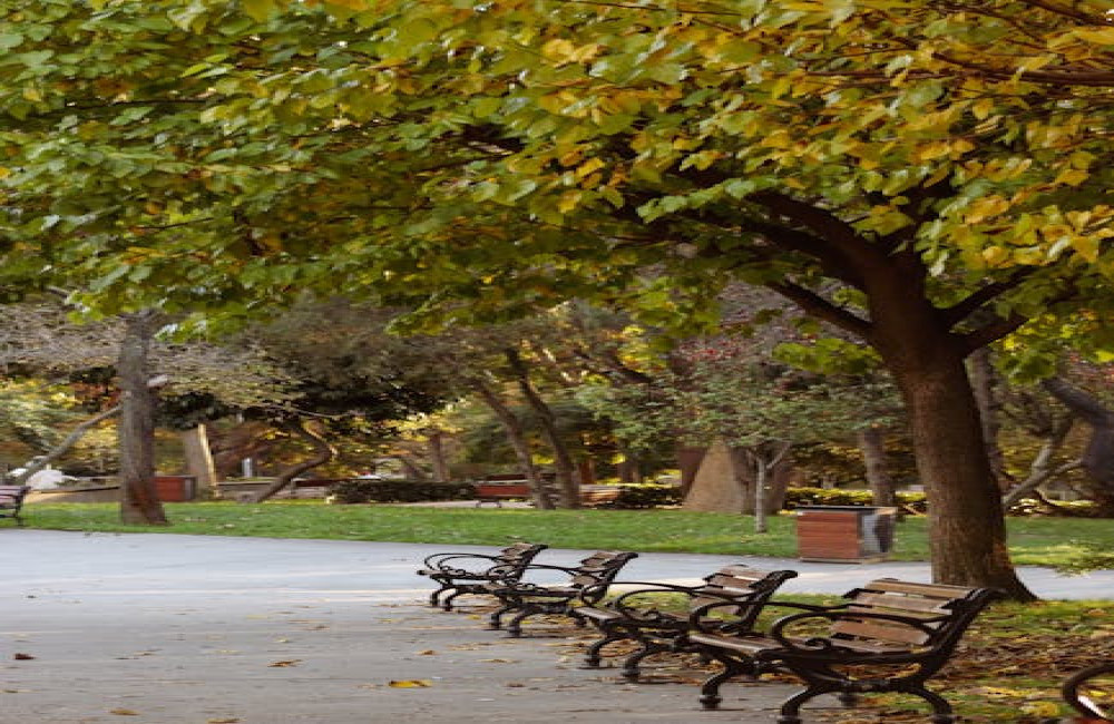 Hoe vind je meer rust in je dagelijkse leven?