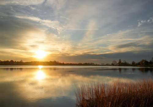 Hoe creëer je mentale rust door je huis op te ruimen?