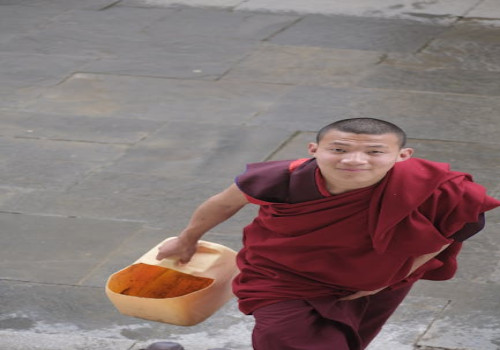 Microgewoontes voor meer energie en rust in je dagelijkse leven