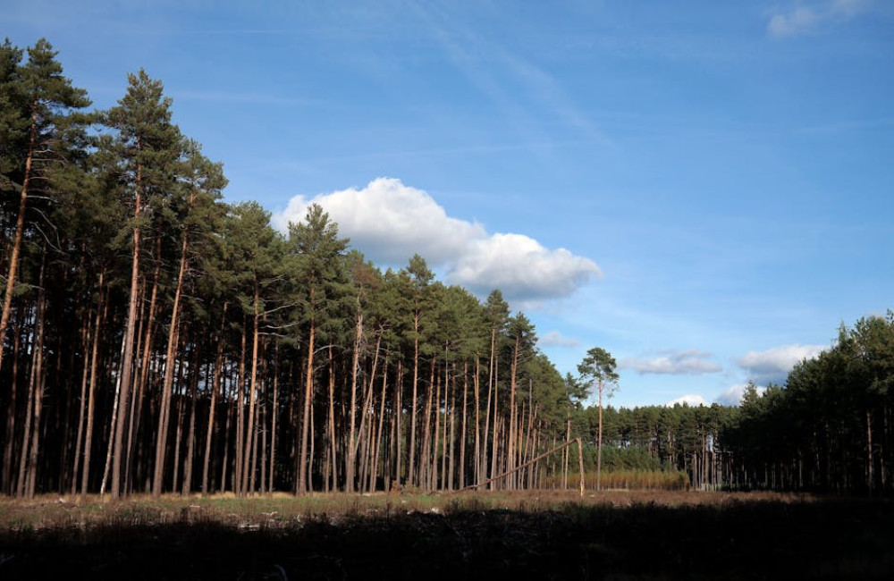 Hoe microgewoonten je helpen om blijvend gezonder en gelukkiger te leven