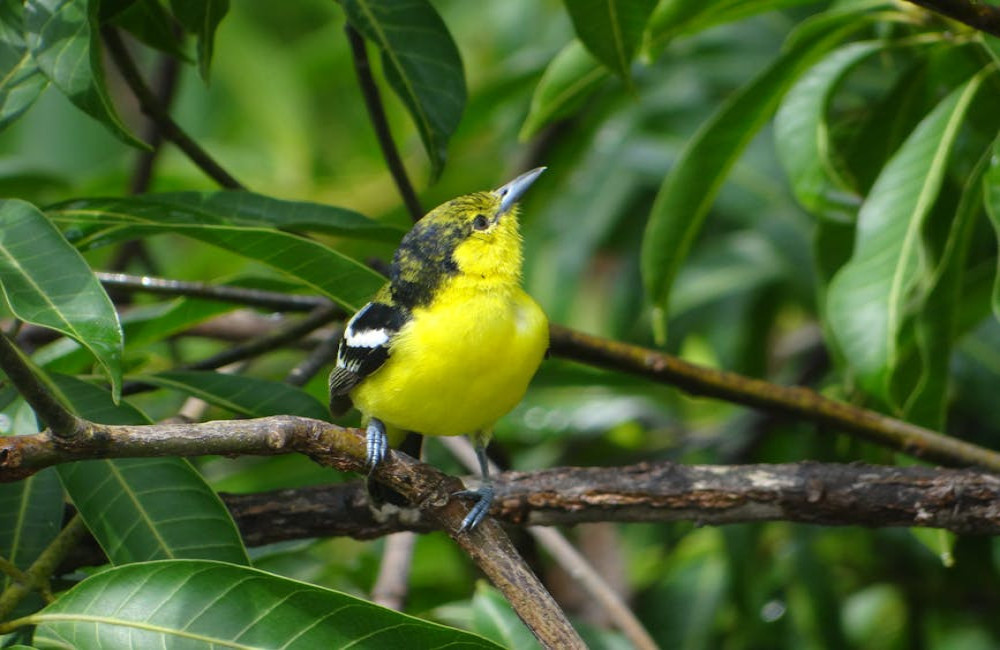 Microgewoontes voor meer geluk en gezondheid: zo begin je vandaag nog