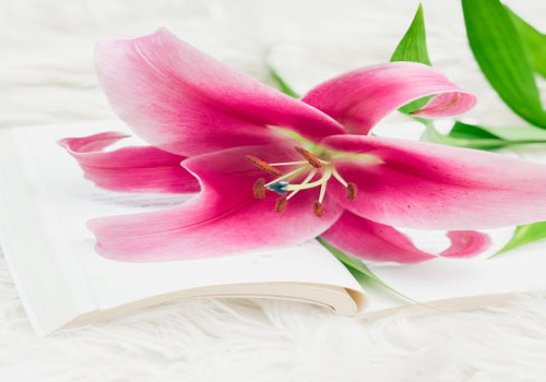 Hoe stop je met jezelf vergelijken met anderen