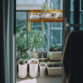 Een kruidentuin op je balkon beginnen in mei: de eenvoudigste planten om mee te starten