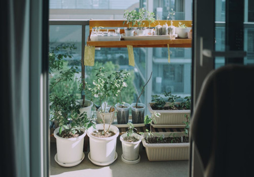 Een kruidentuin op je balkon beginnen in mei: de eenvoudigste planten om mee te starten