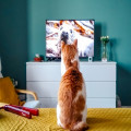 De beste programma’s om samen over na te praten