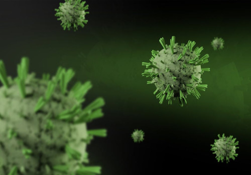 Dit is alles wat je moet weten van Hantavirus