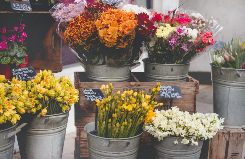 Wat zijn de beste bloemensoorten om te geven?